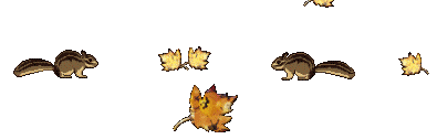 5CwPKH8dtm0a.gif