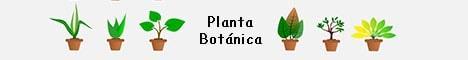 Planta botánica